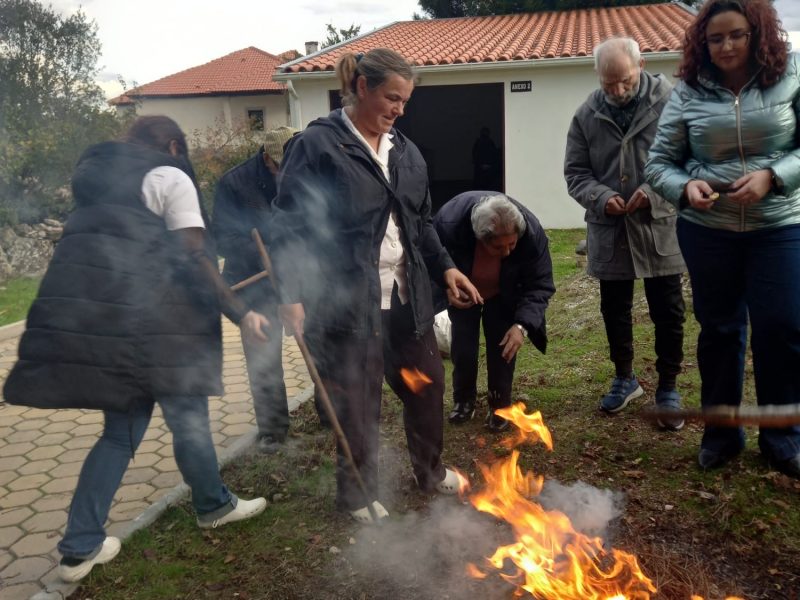 34f46b1a-56e4-4443-86b0-ccc29d4f6dd7