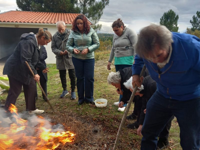 85dd2388-43a5-473f-b6e5-2158bc48a566